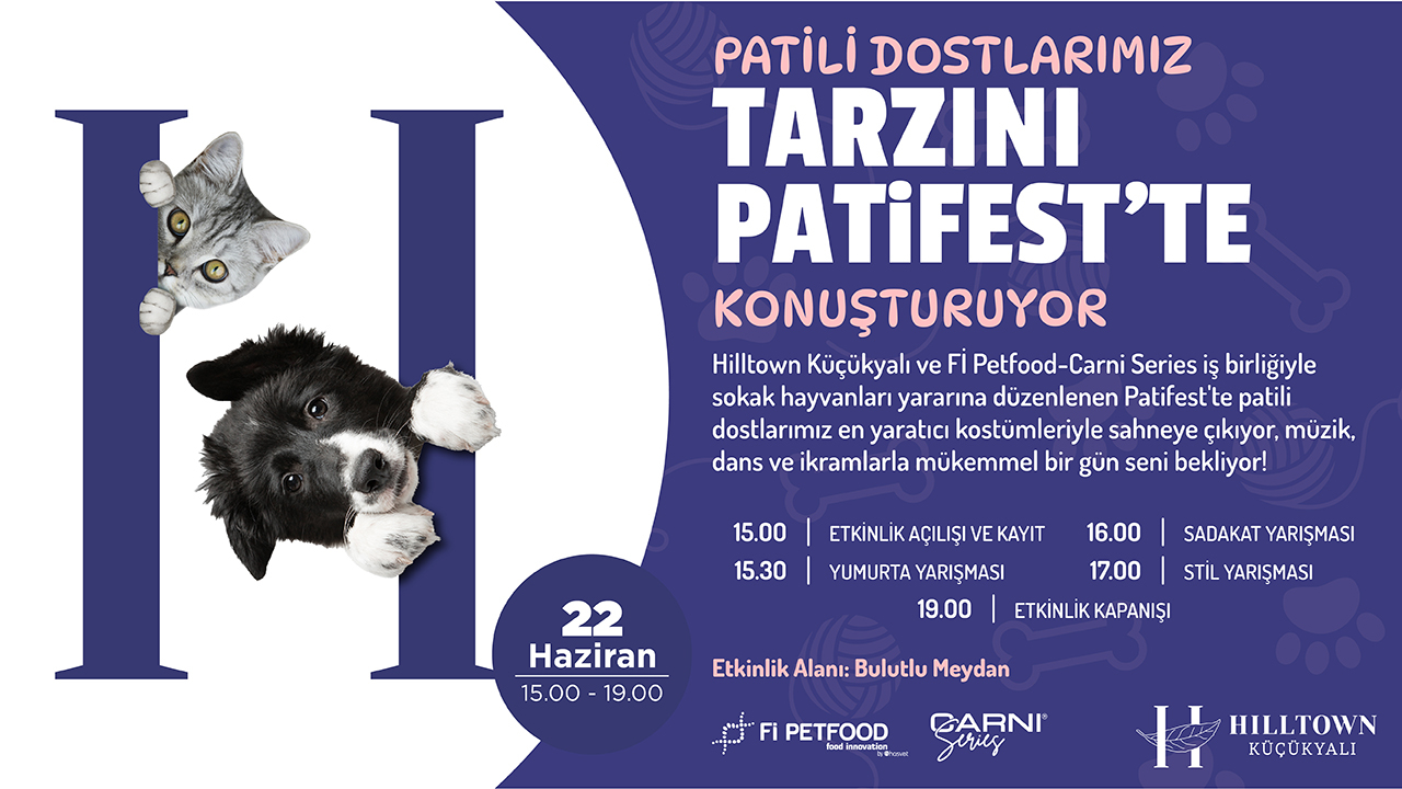Patifest