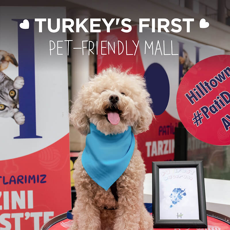 Turkey's First Pet-Friendly Shopping Mall