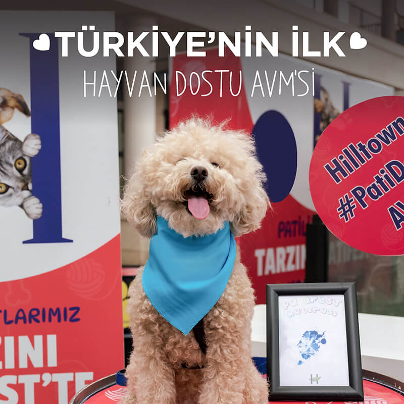 Türkiye’nin İlk Hayvan Dostu AVM’si