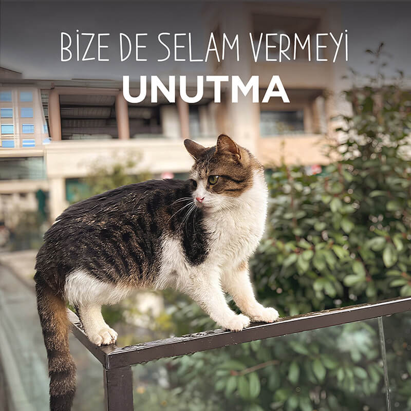 Alışveriş Yaparken Bize de Selam Vermeyi Unutma